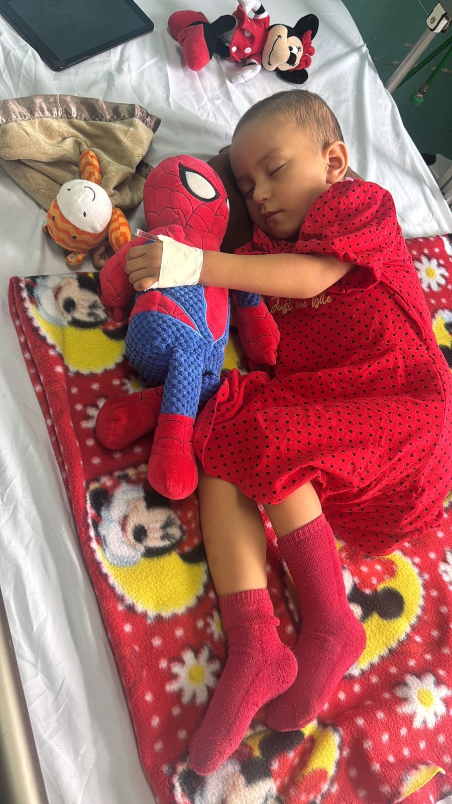 Toddler sleeping with a Spider-Man plush toy
